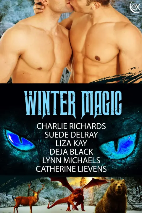 Cover of Winter Magic