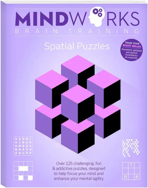 Cover of Spatial Puzzles