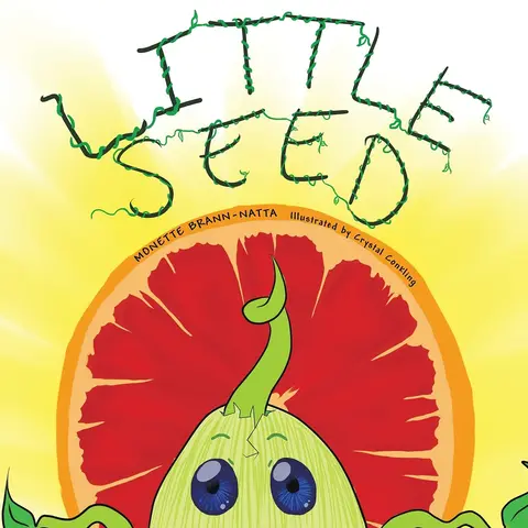 Cover of Little Seed
