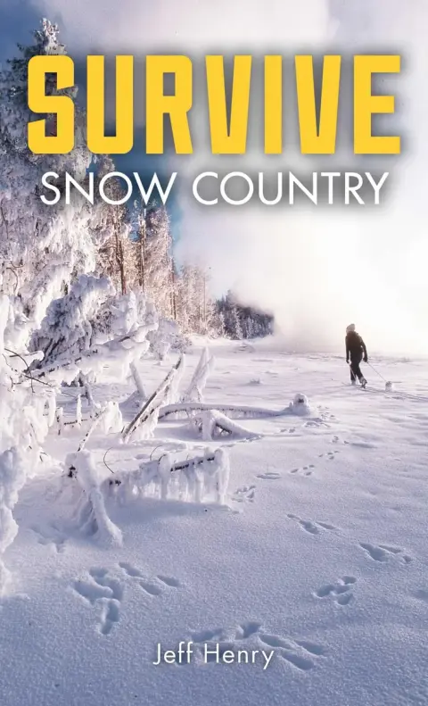 Cover of Survive