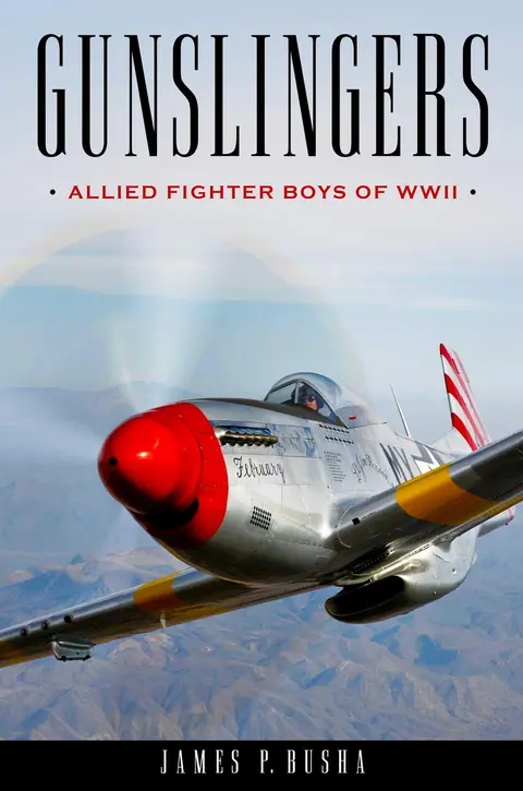 Cover of Gunslingers