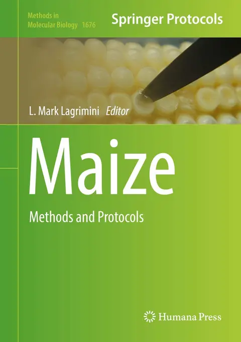 Cover of Maize