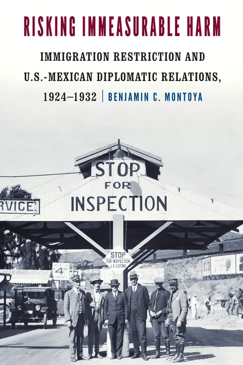 Cover of Risking Immeasurable Harm