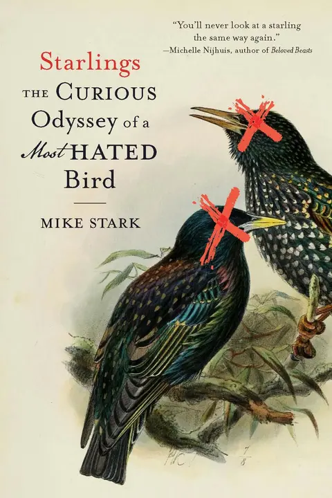 Cover of Starlings