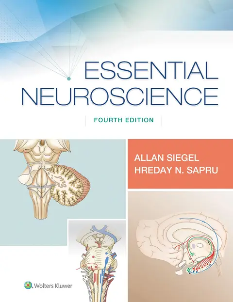 Cover of Essential Neuroscience 4Ed