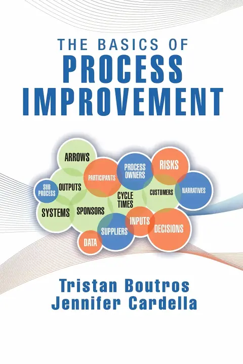 Cover of The Basics of Process Improvement