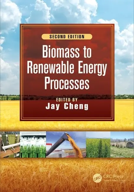 Cover of Biomass to Renewable Energy Processes, Second Edition