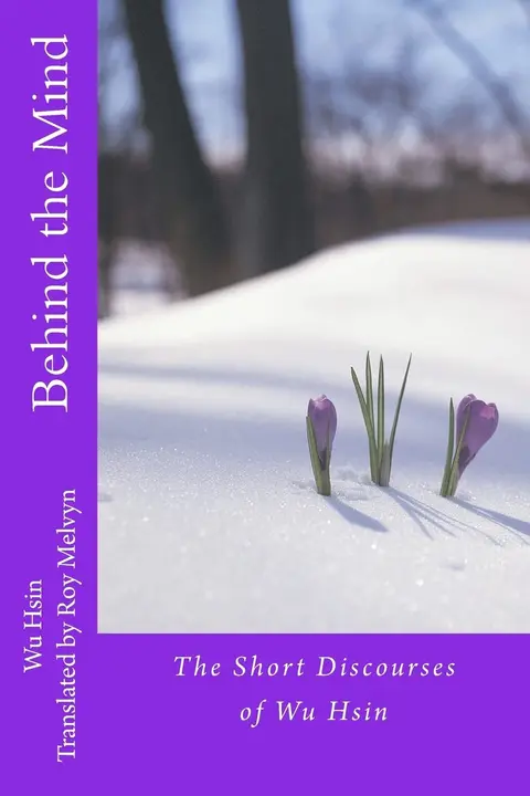 Cover of Behind the Mind