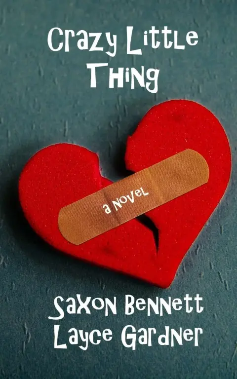 Cover of Crazy Little Thing