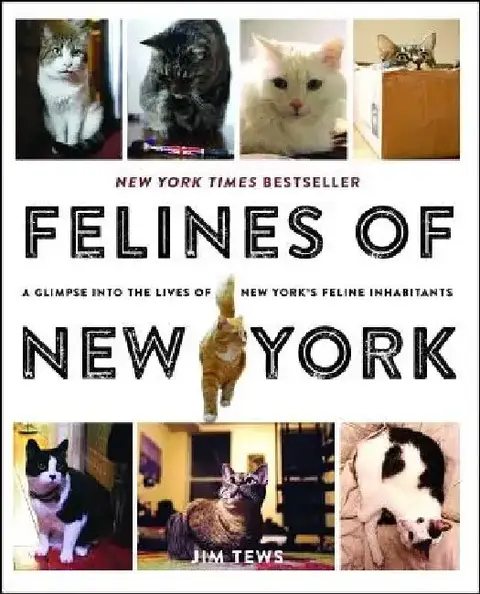Cover of Felines of New York