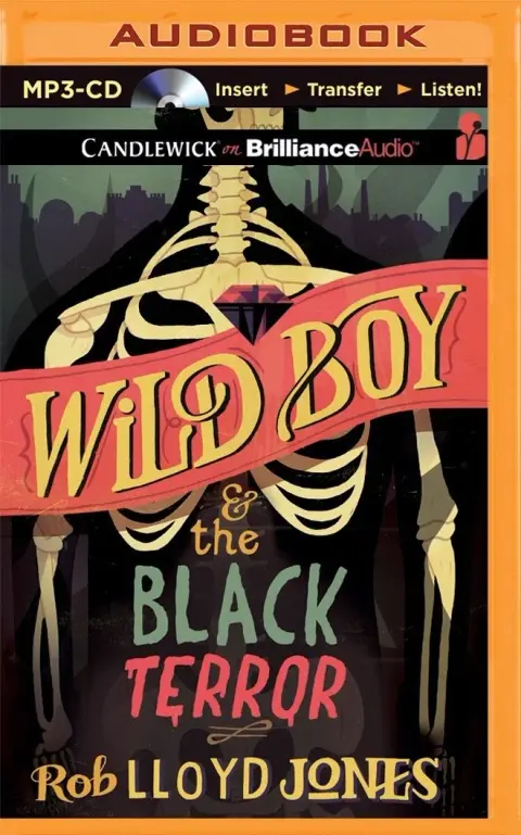 Cover of Wild Boy & the Black Terror