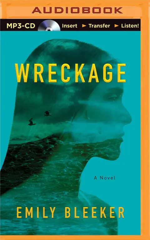 Cover of Wreckage