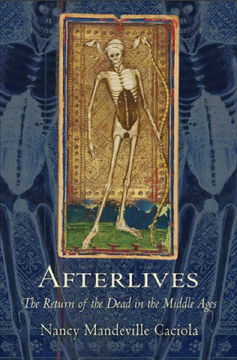 Cover of Afterlives
