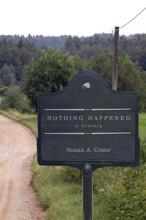 Cover of Nothing Happened