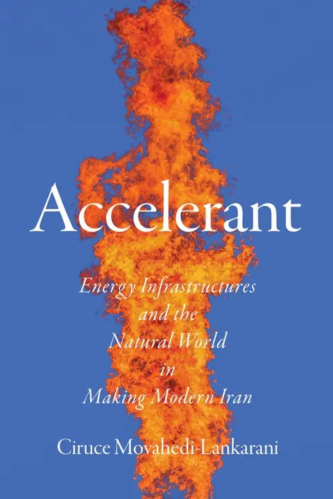 Cover of Accelerant
