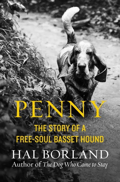 Cover of Penny