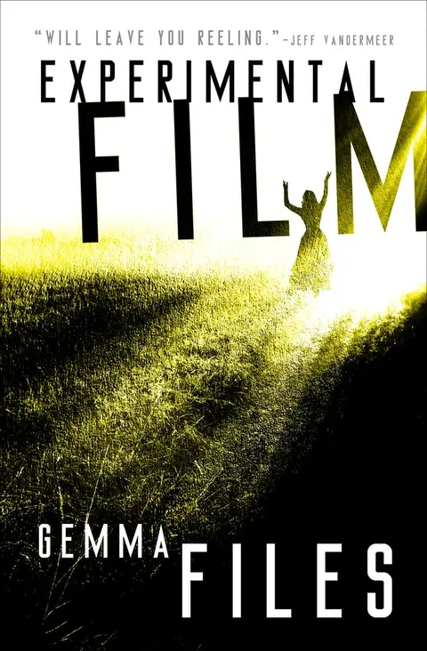 Cover of Experimental Film