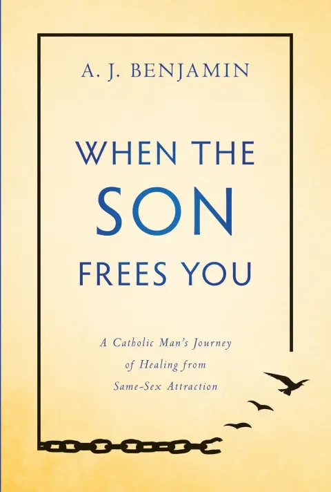 Cover of When the Son Frees You