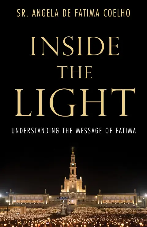 Cover of Inside the Light
