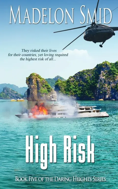 Cover of High Risk