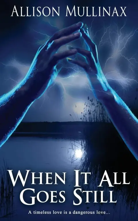 Cover of When It All Goes Still