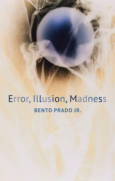Cover of Error, Illusion, Madness
