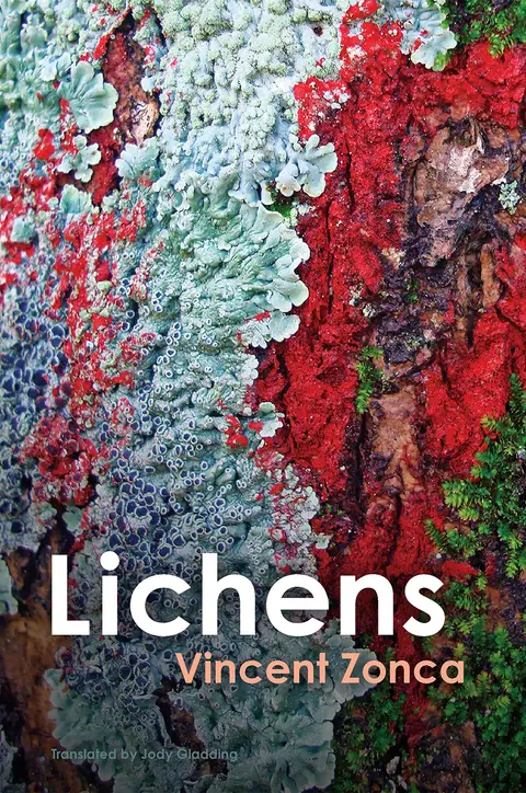 Cover of Lichens - Toward a Minimal Resistance