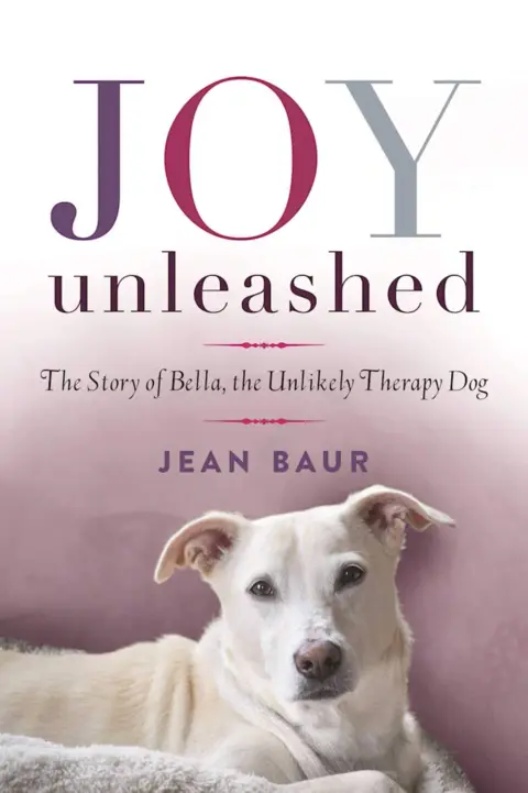 Cover of Joy Unleashed