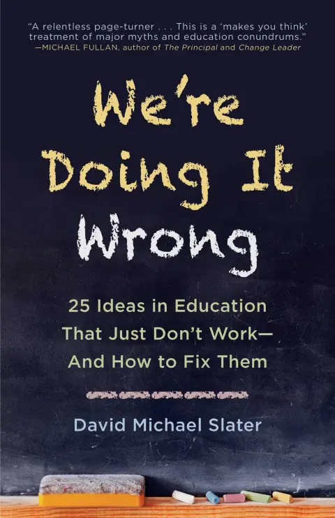 Cover of We're Doing It Wrong