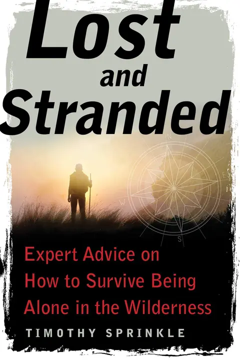 Cover of Lost and Stranded