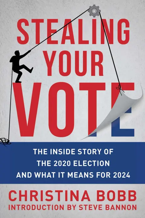 Cover of Stealing Your Vote