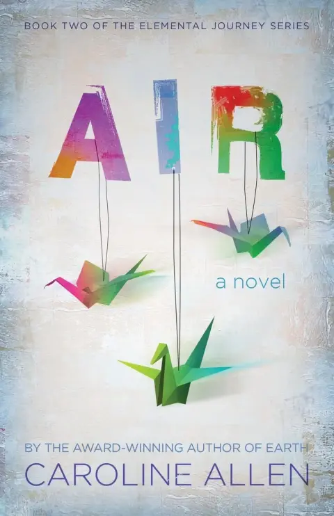 Cover of Air