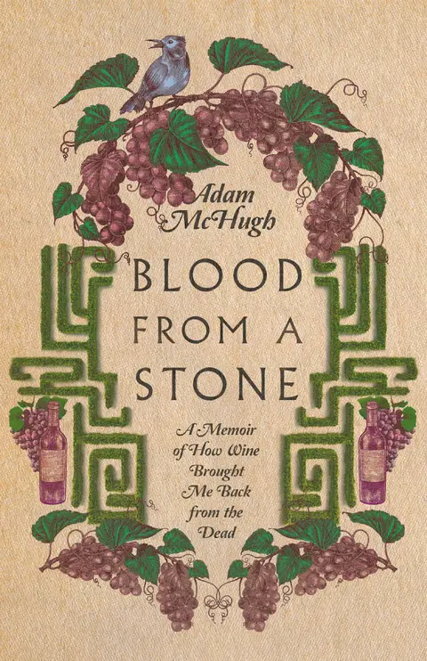 Cover of Blood from a Stone