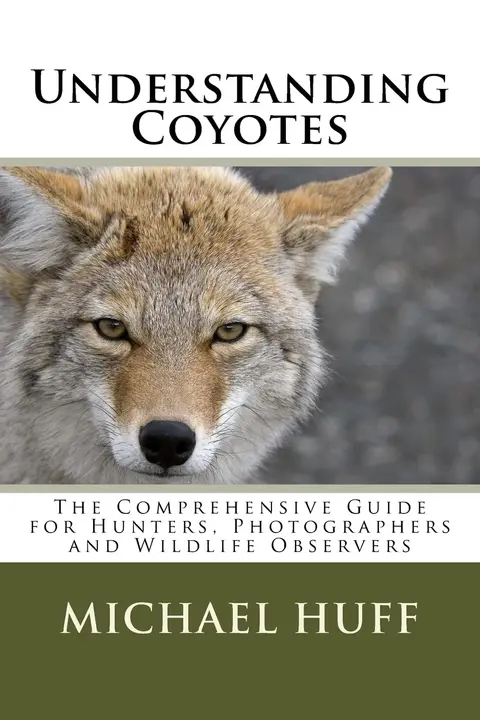 Cover of Understanding Coyotes