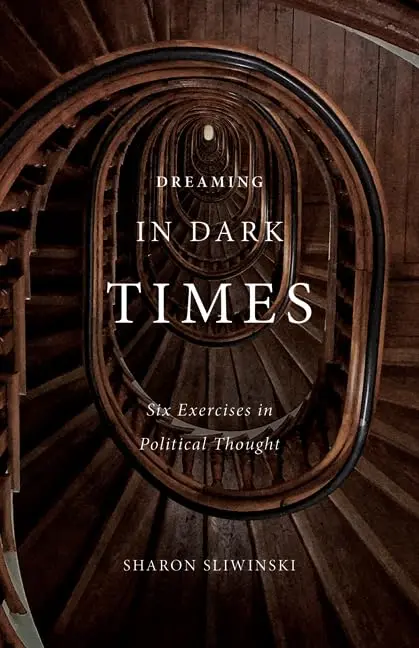 Cover of Dreaming in Dark Times