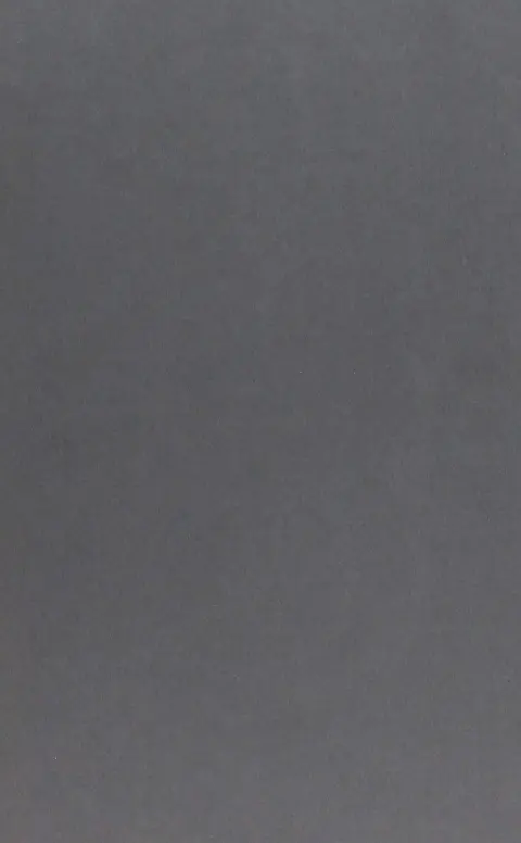 Cover of Outsider Theory