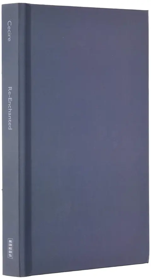 Cover of Re-Enchanted