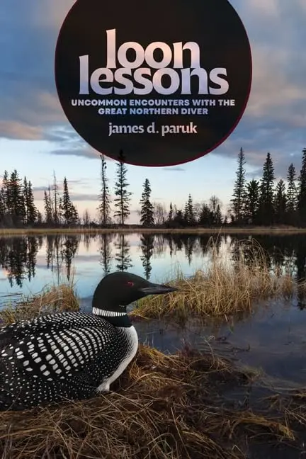 Cover of Loon Lessons