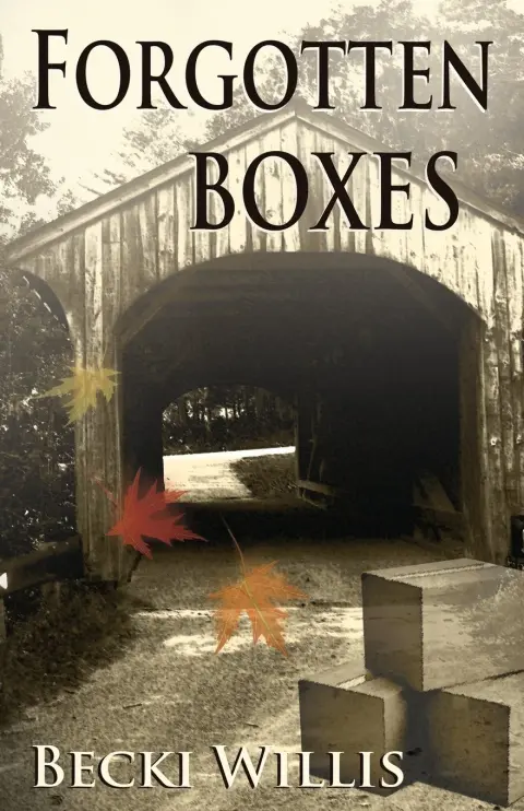 Cover of Forgotten Boxes