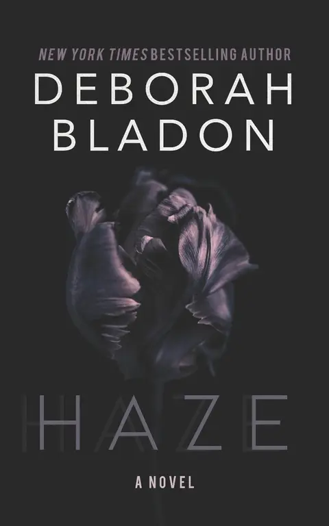 Cover of HAZE - A Novel