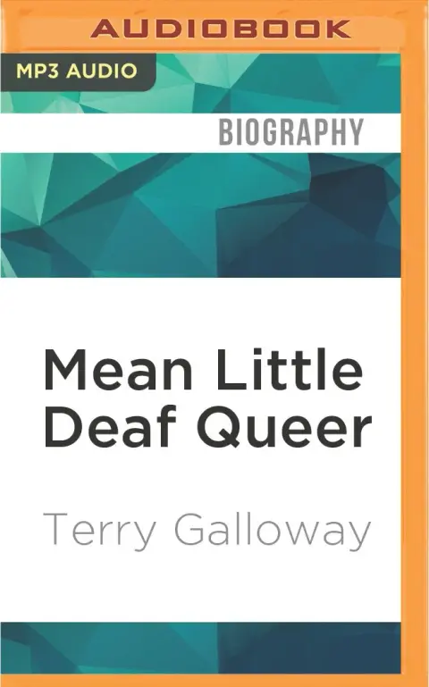 Cover of Mean Little Deaf Queer