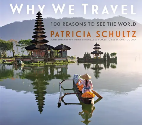 Cover of Why We Travel