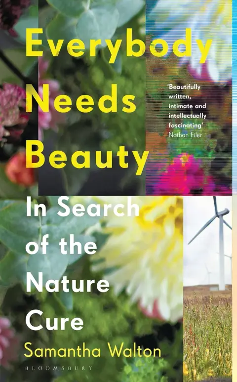 Cover of Everybody Needs Beauty