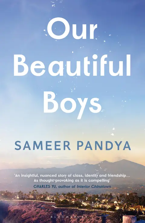 Cover of Our Beautiful Boys