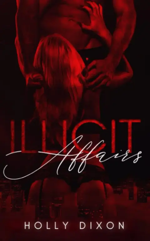 Cover of Illicit Affairs