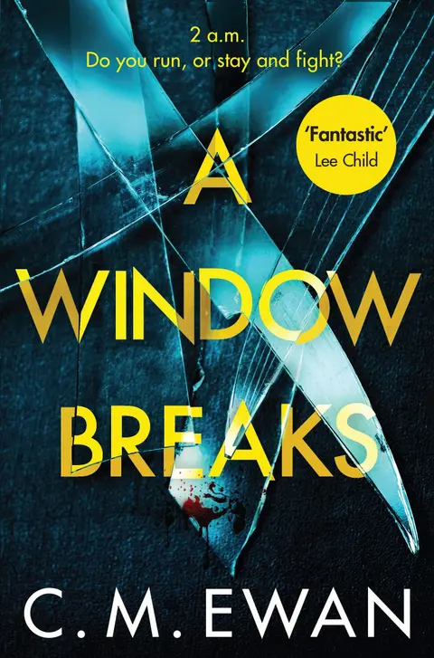 Cover of A Window Breaks