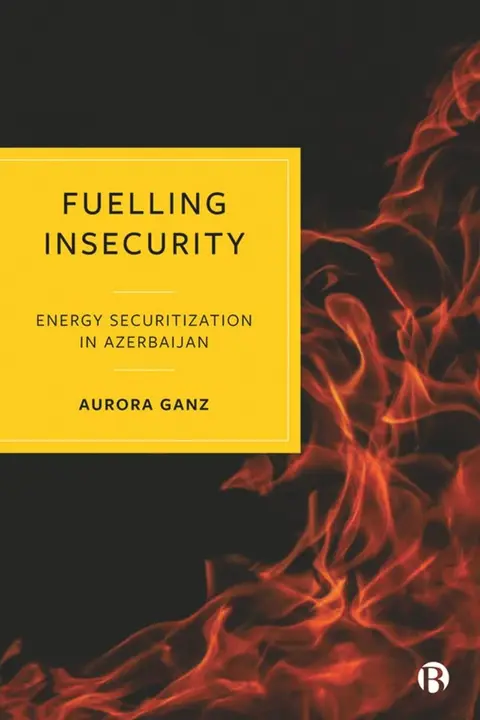 Cover of Fuelling Insecurity