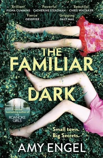 Cover of The Familiar Dark