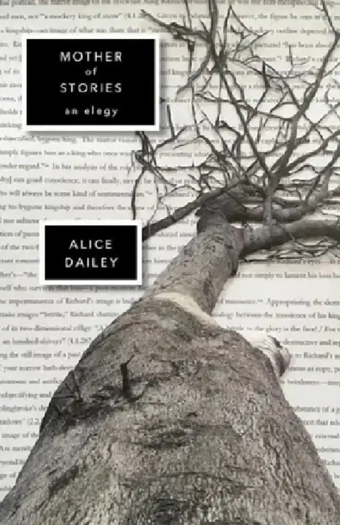 Cover of Mother of Stories