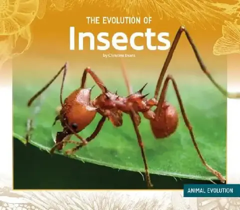 Cover of Evolution of Insects